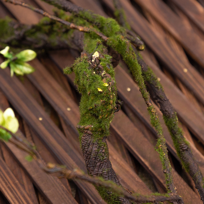 仿真树藤室内造景发泡树枝管道遮挡苔藓树藤背景墙面装饰假树枯藤